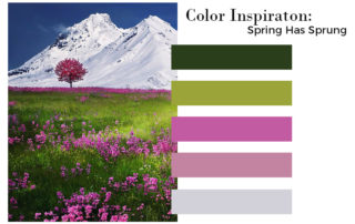 Color Inspiration - Spring Has Sprung