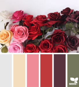 Paper Roses Color Design Seeds
